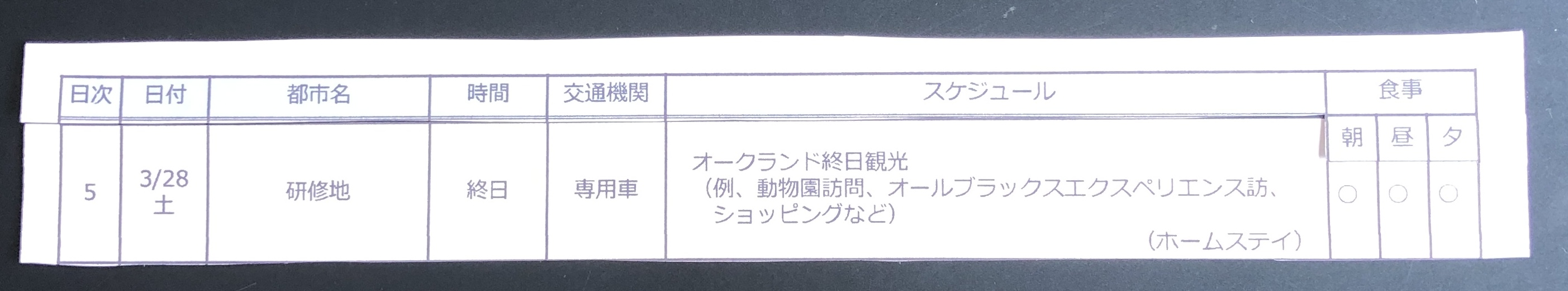 3日目